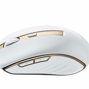 Curabitur ultricies ante ultricies blandit