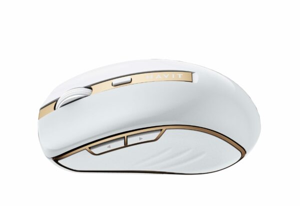 Curabitur ultricies ante ultricies blandit