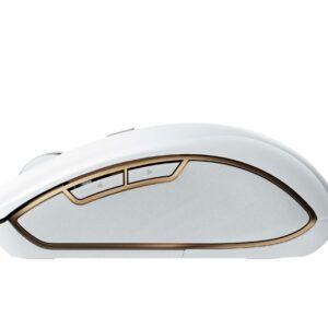 Curabitur ultricies ante ultricies blandit