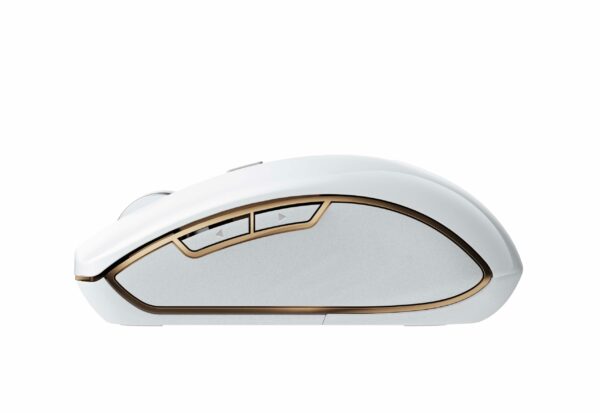 Curabitur ultricies ante ultricies blandit