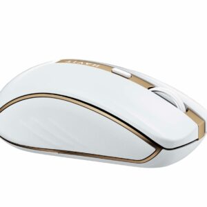 Curabitur ultricies ante ultricies blandit