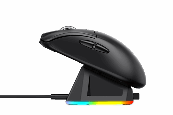 Wireless Gaming Mouse MS979WB