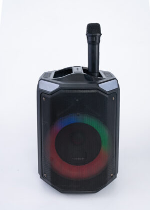HAVIT SQ143BT 40W Bluetooth Party Speaker – 8" Woofer, RGB Lights, Dual Wireless Microphones, 4500mAh Battery, TWS Support